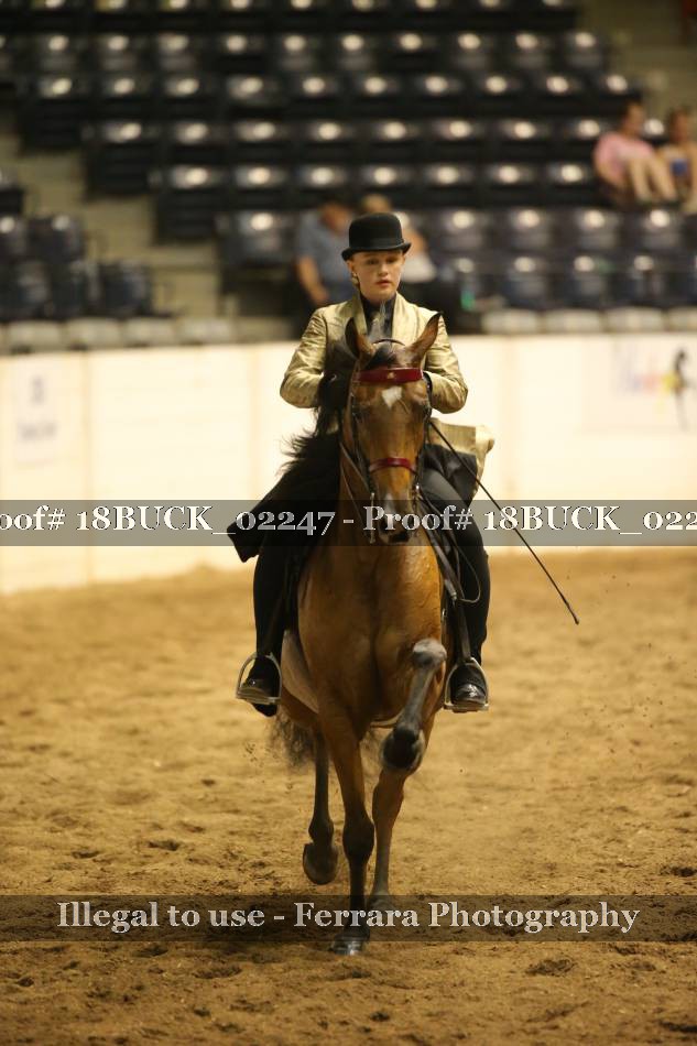 Proof 18BUCK_02247