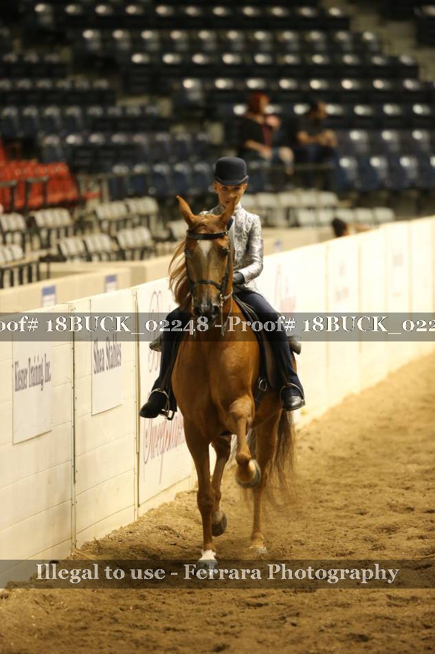 Proof 18BUCK_02248