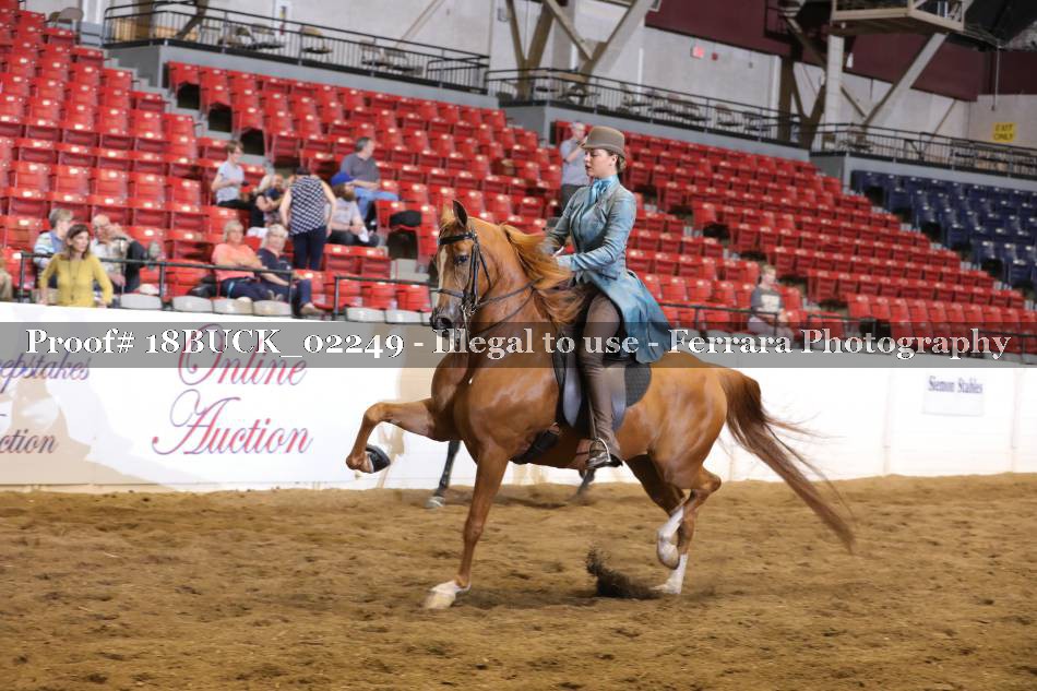 Proof 18BUCK_02249