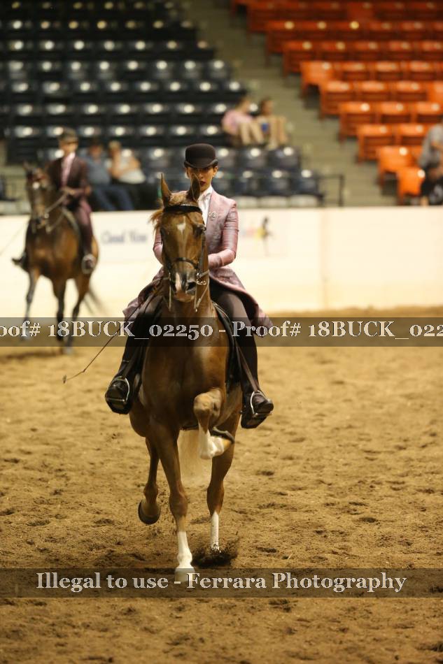Proof 18BUCK_02250