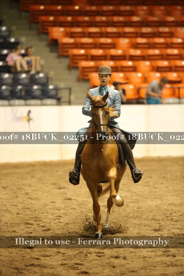 Proof 18BUCK_02251