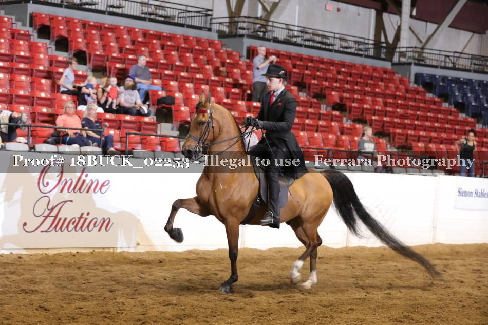Proof 18BUCK_02253