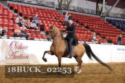 18BUCK_02253 proof