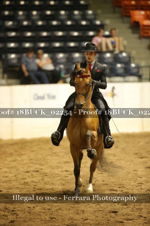 Proof 18BUCK_02254