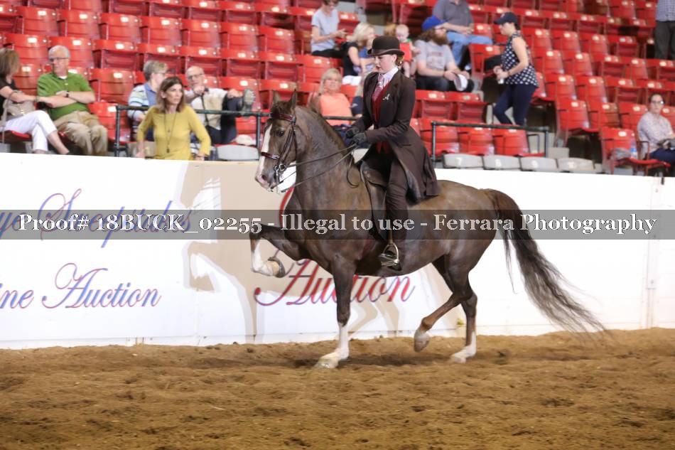 Proof 18BUCK_02255