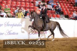 18BUCK_02255 proof