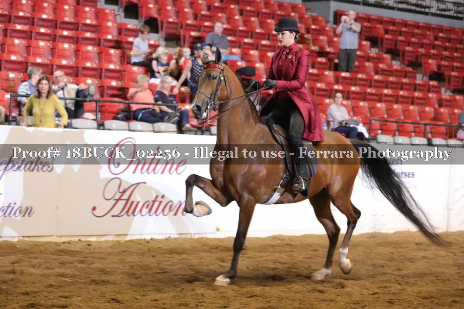 Proof 18BUCK_02256