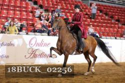 18BUCK_02256 proof