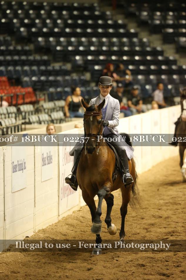 Proof 18BUCK_02257