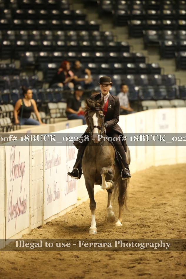 Proof 18BUCK_02258