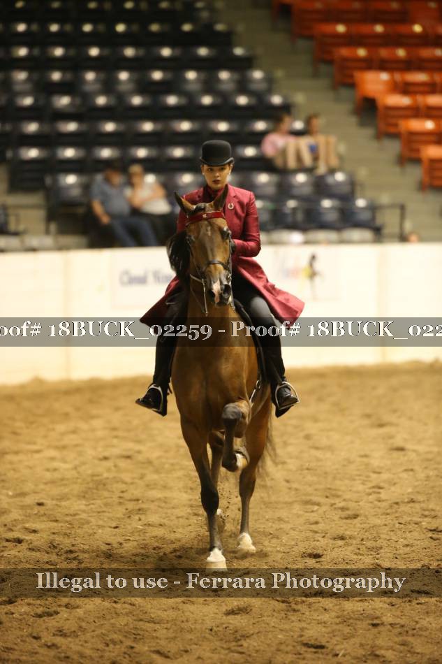 Proof 18BUCK_02259
