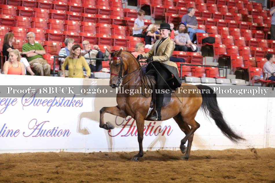 Proof 18BUCK_02260