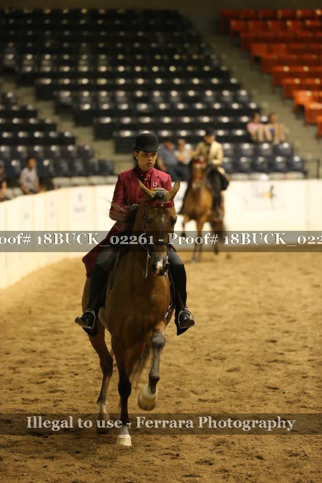 Proof 18BUCK_02261