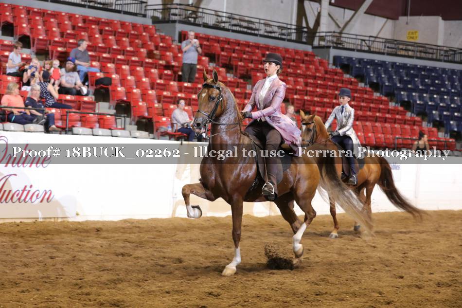 Proof 18BUCK_02262