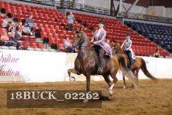 18BUCK_02262 proof