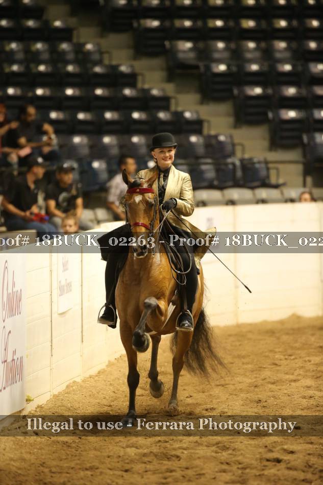 Proof 18BUCK_02263