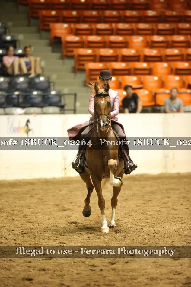 Proof 18BUCK_02264