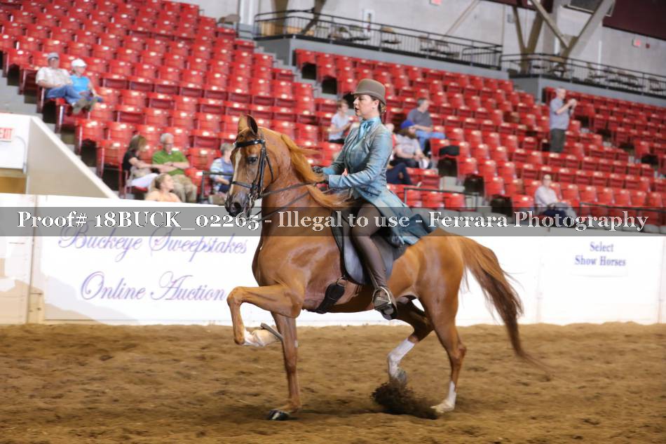Proof 18BUCK_02265