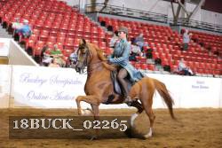 18BUCK_02265 proof