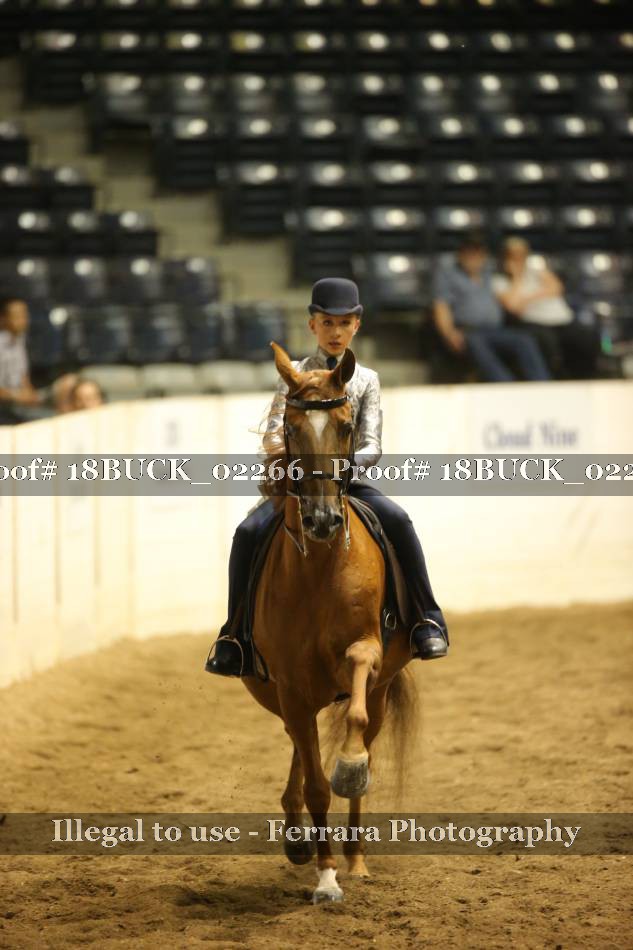 Proof 18BUCK_02266