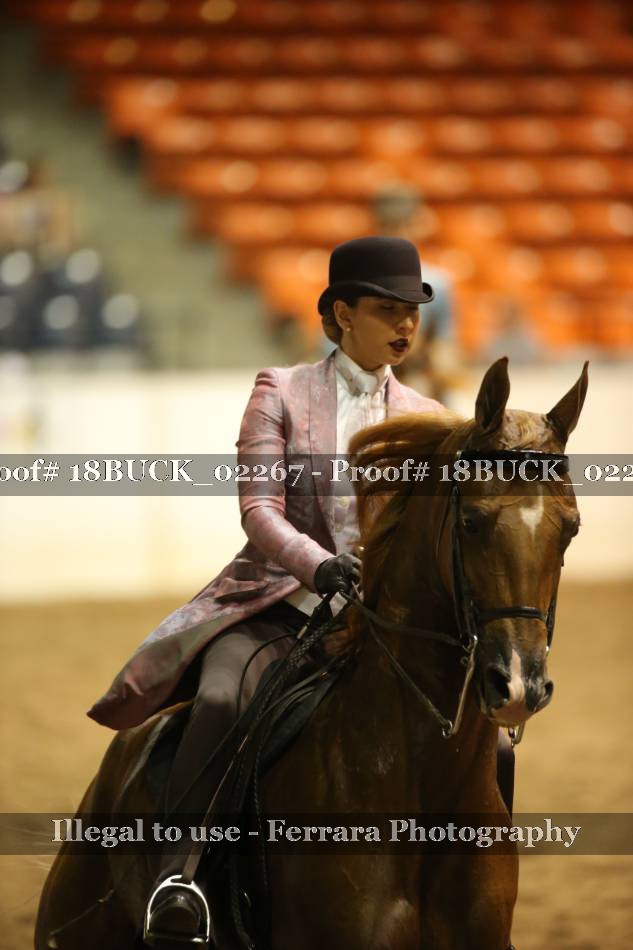 Proof 18BUCK_02267