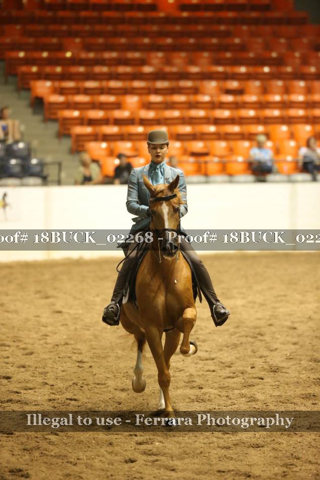 Proof 18BUCK_02268