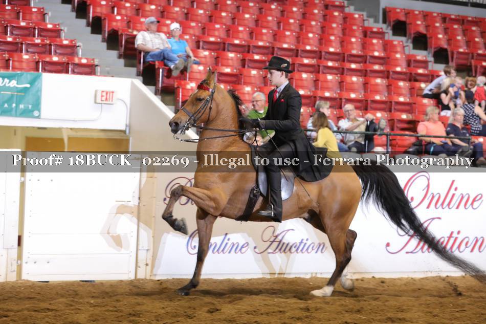 Proof 18BUCK_02269