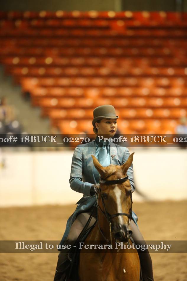 Proof 18BUCK_02270