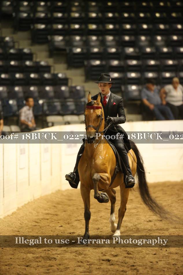 Proof 18BUCK_02271