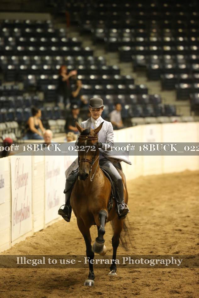 Proof 18BUCK_02272