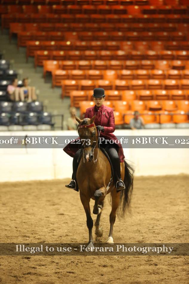 Proof 18BUCK_02273