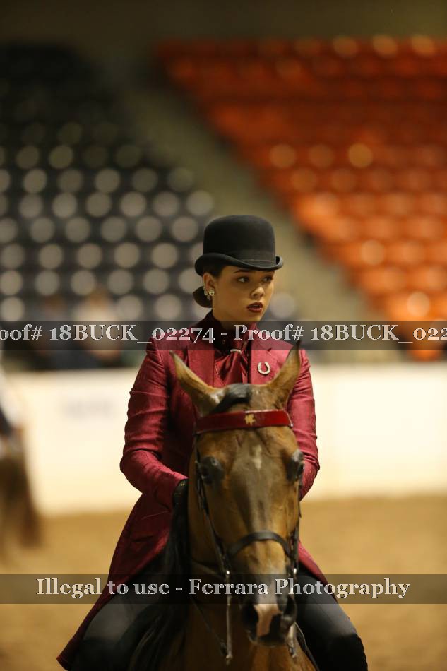 Proof 18BUCK_02274