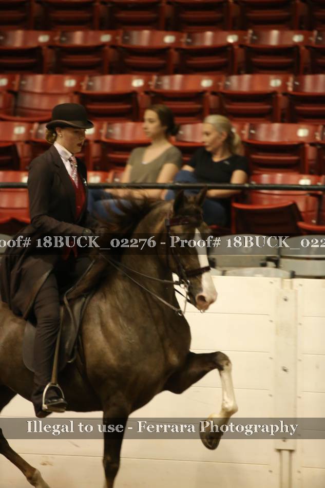 Proof 18BUCK_02276