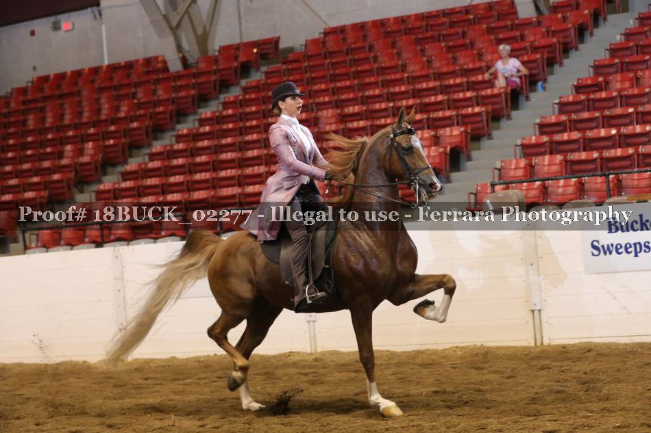 Proof 18BUCK_02277