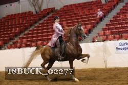 18BUCK_02277 proof