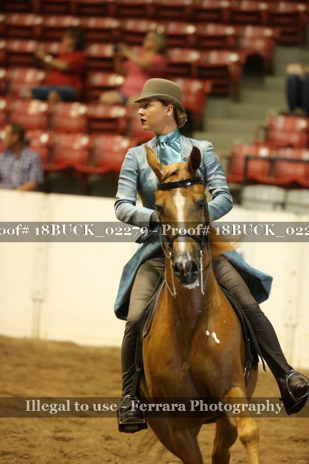Proof 18BUCK_02279