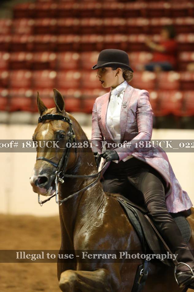 Proof 18BUCK_02281