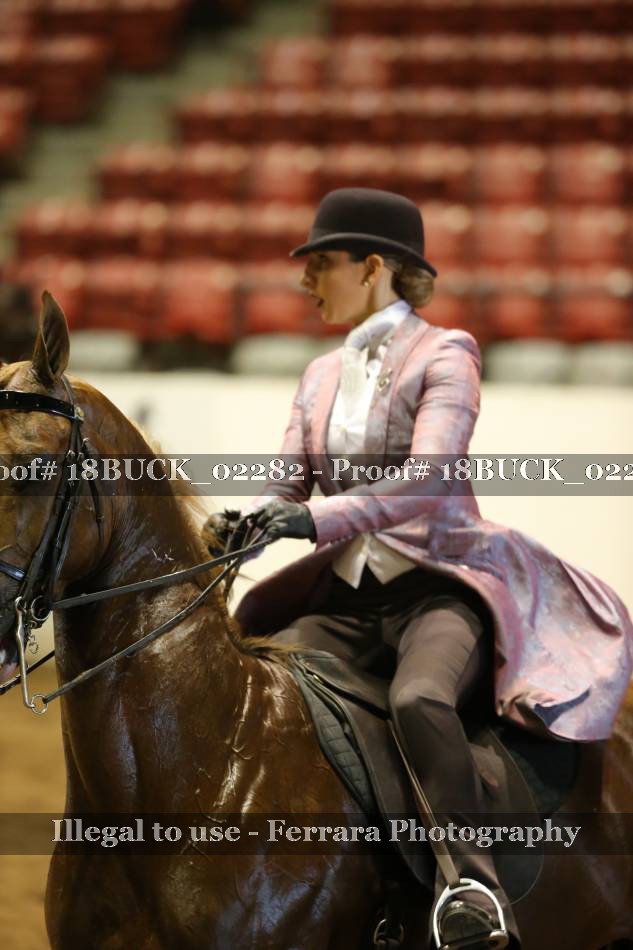 Proof 18BUCK_02282