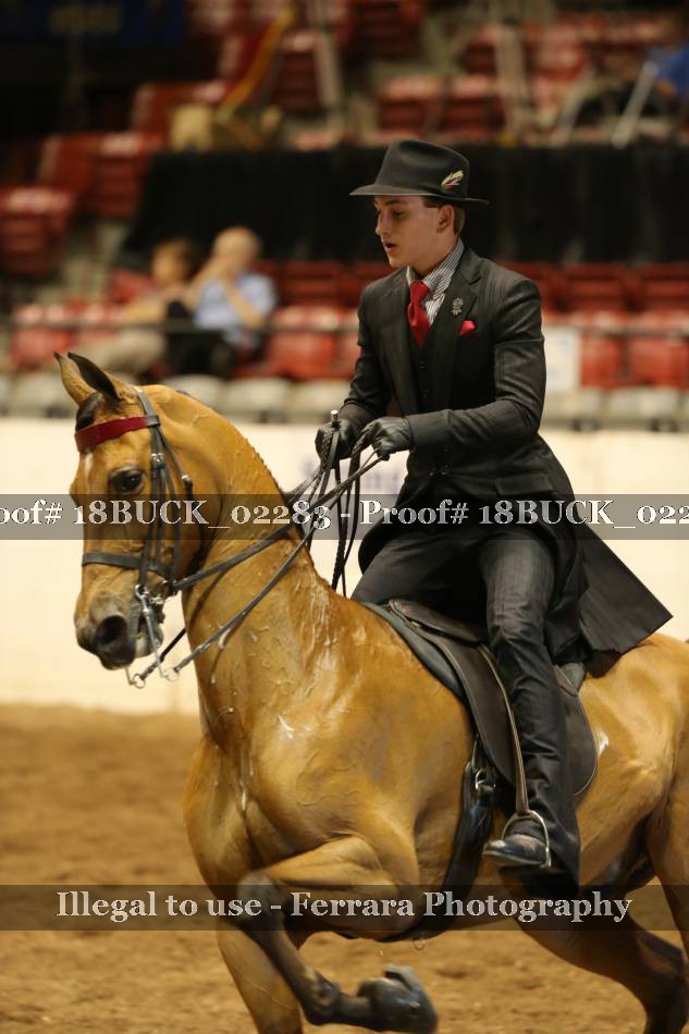Proof 18BUCK_02283