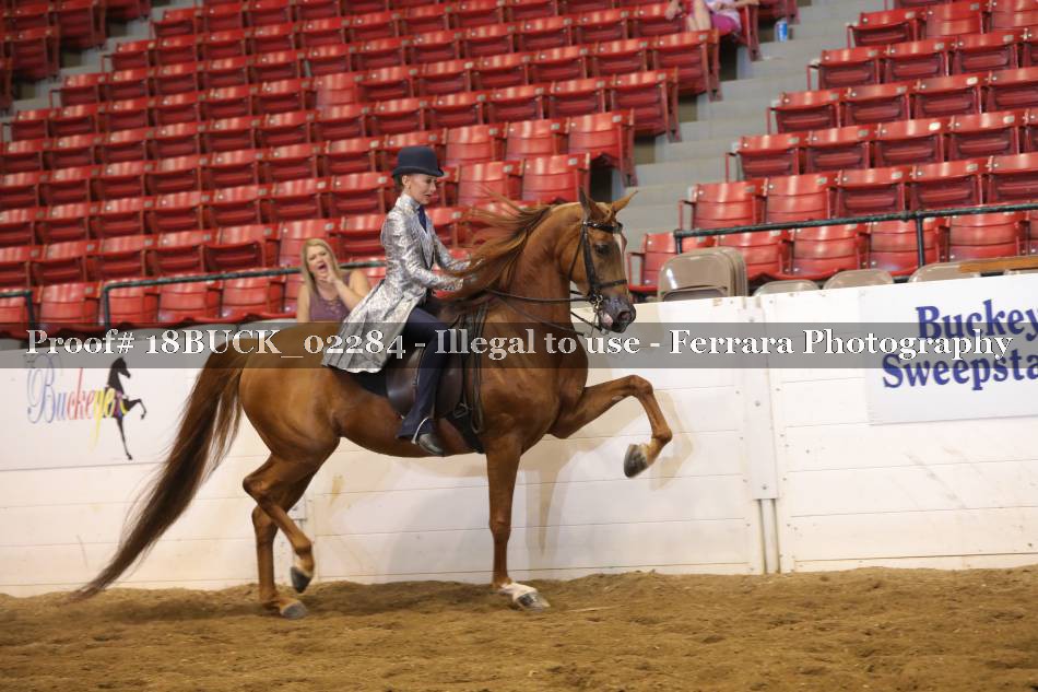 Proof 18BUCK_02284