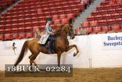 18BUCK_02284 proof