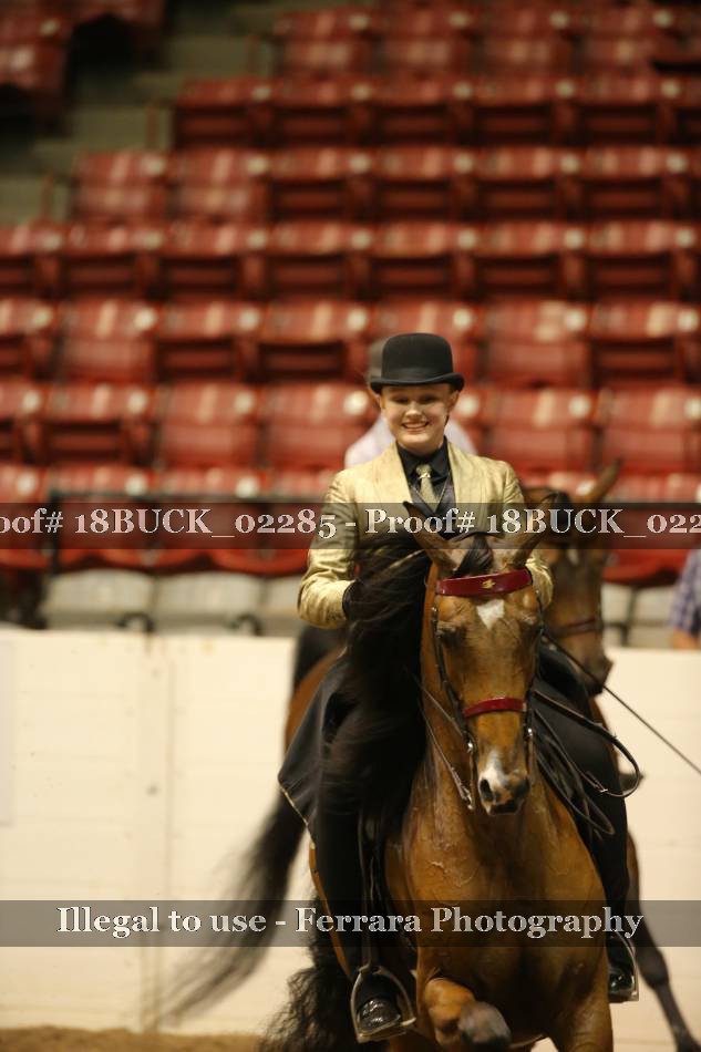 Proof 18BUCK_02285