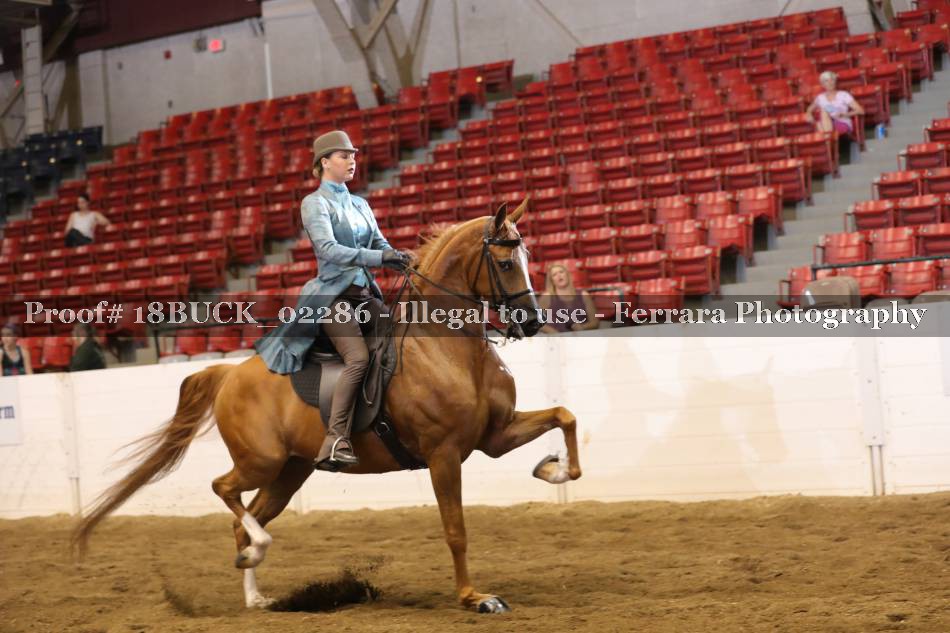 Proof 18BUCK_02286