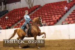 18BUCK_02286 proof