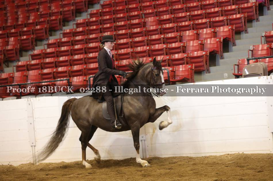 Proof 18BUCK_02288
