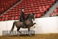 18BUCK_02288 proof