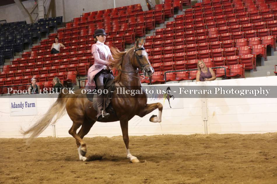 Proof 18BUCK_02290