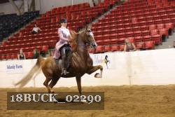 18BUCK_02290 proof