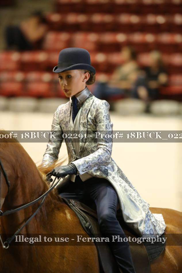 Proof 18BUCK_02291