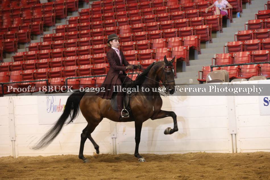 Proof 18BUCK_02292